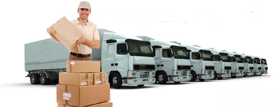 Professional packers and movers in Patna | visit: www.Trisham .in