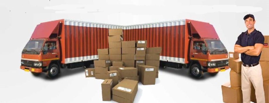 Tips for Choosing the Best Packers and Movers in Patna